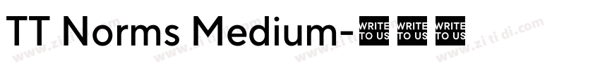 TT Norms Medium字体转换 TT Norms Medium字体转换